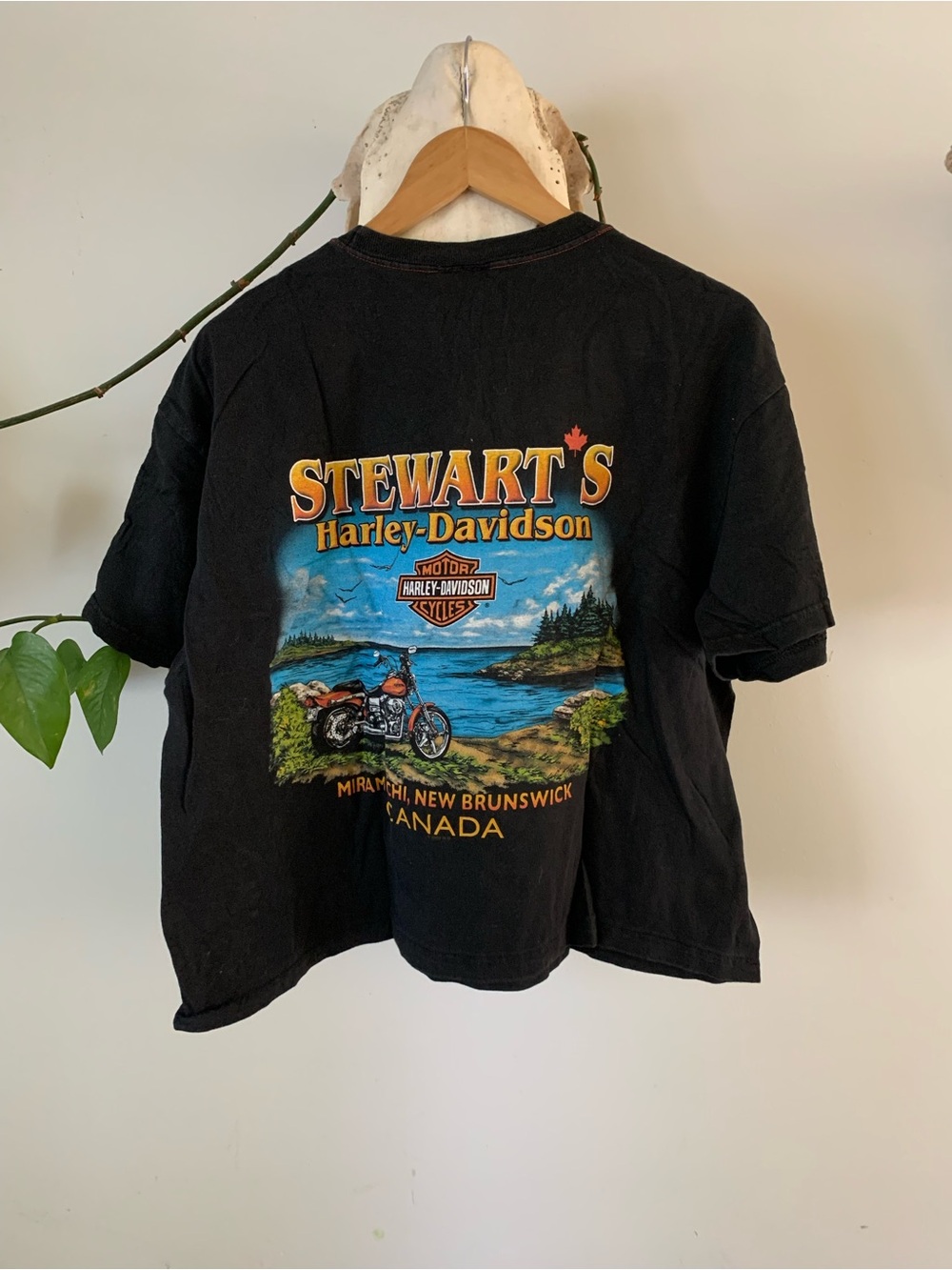 Vintage Harley-Davidson Stewart's Graphic Tee